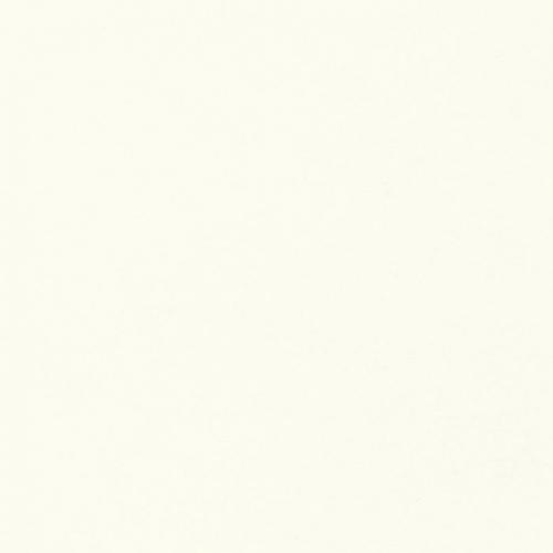 N 010 White