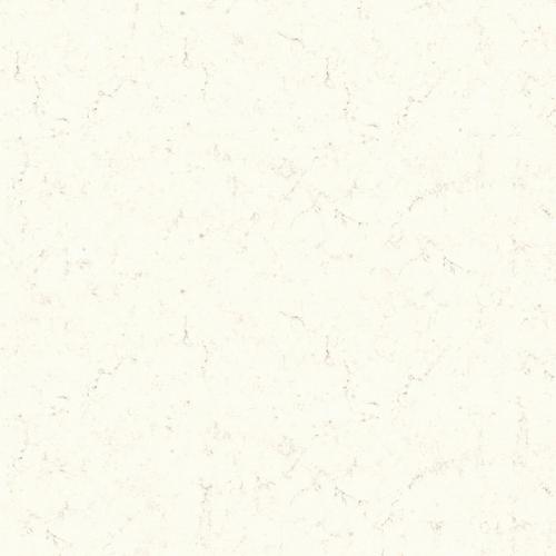 5141 Frosty Carrina