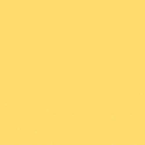 N Yellow M 006