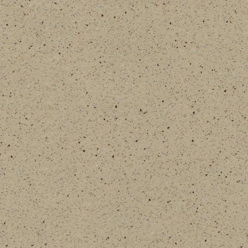 Brown Cookie T 243